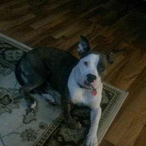 Meet your Posher, Johnny